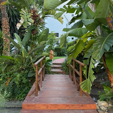 Puerto Banus - Jose Banus 7 - -